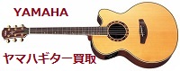 ヤマハクラシックギター弦楽器買取